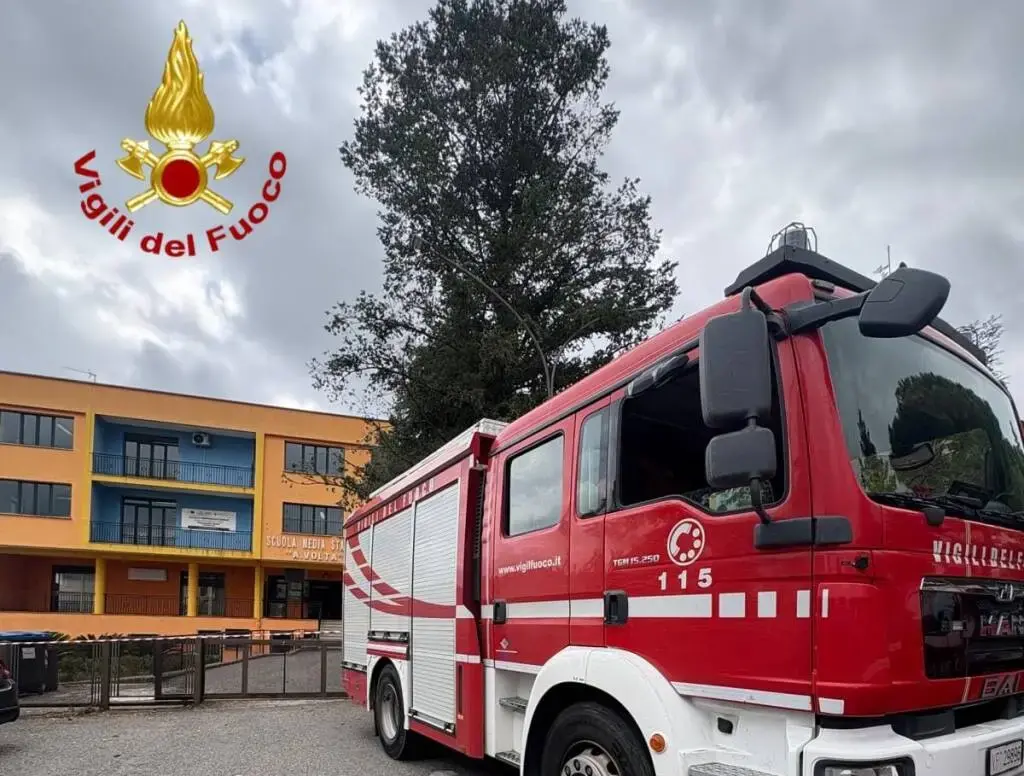 «C’è una bomba a scuola, attacchi terroristici nel nome di Allah»: allarme in tre istituti in Calabria (e 50 in Italia)\n
