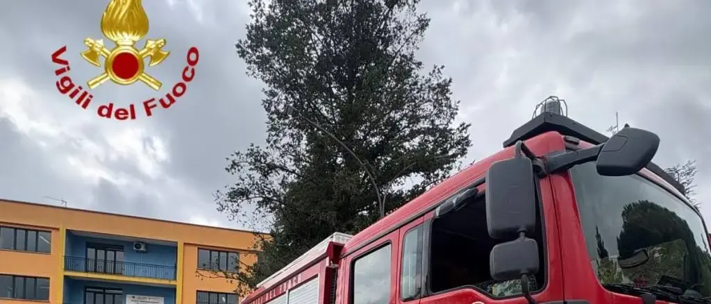 «C’è una bomba a scuola, attacchi terroristici nel nome di Allah»: allarme in tre istituti in Calabria (e 50 in Italia)\n