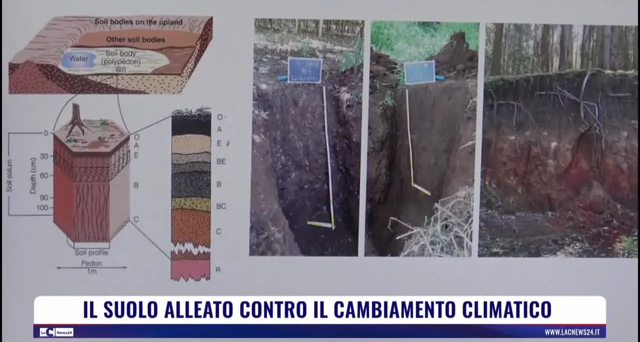 Il suolo alleato contro il cambiamento climatico