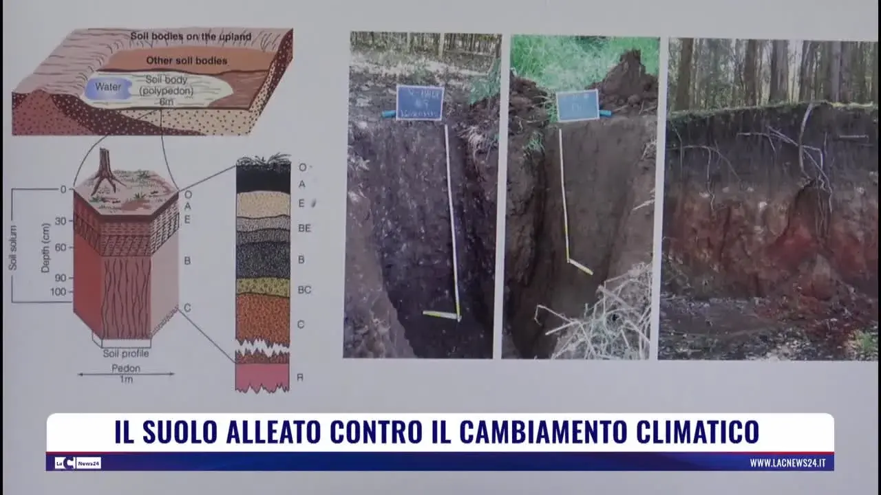 Il suolo alleato contro il cambiamento climatico