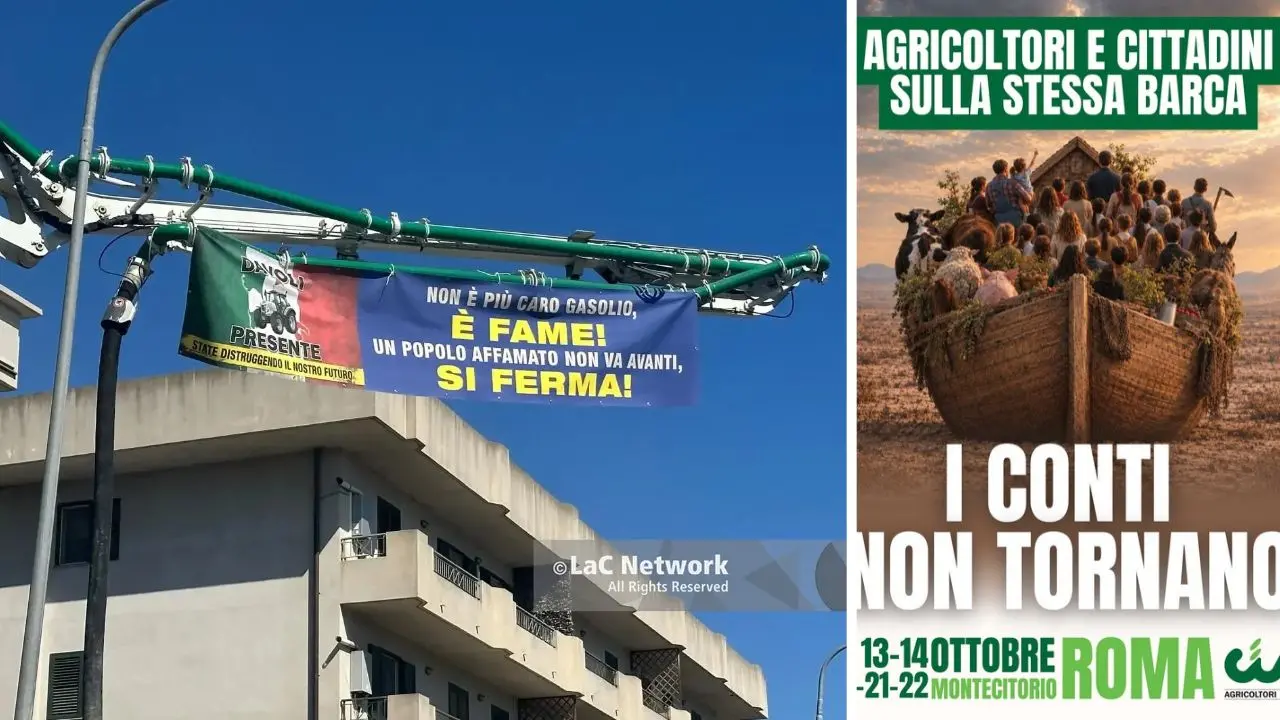 Agricoltori pagati sempre meno ma la spesa è sempre più cara: la Calabria porta la protesta a Montecitorio\n