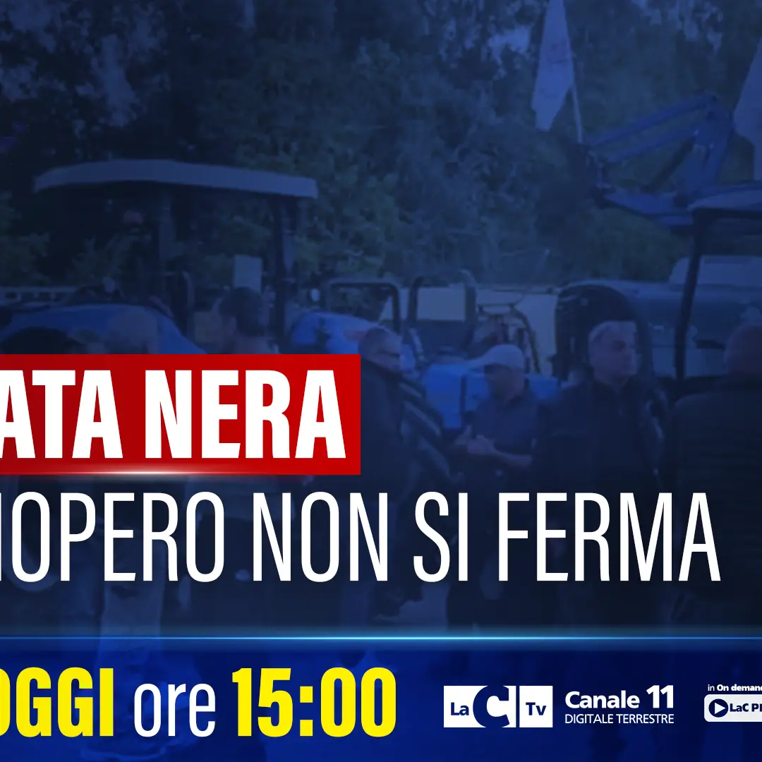 La protesta continua: a Dietro i fatti le voci di una Calabria allo stremo ma che non vuole mollare\n