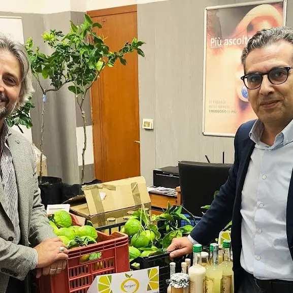 Bergamotto di Reggio Calabria, il valore di fare sistema: agricoltura e commercio insieme per nuove opportunità di sviluppo\n