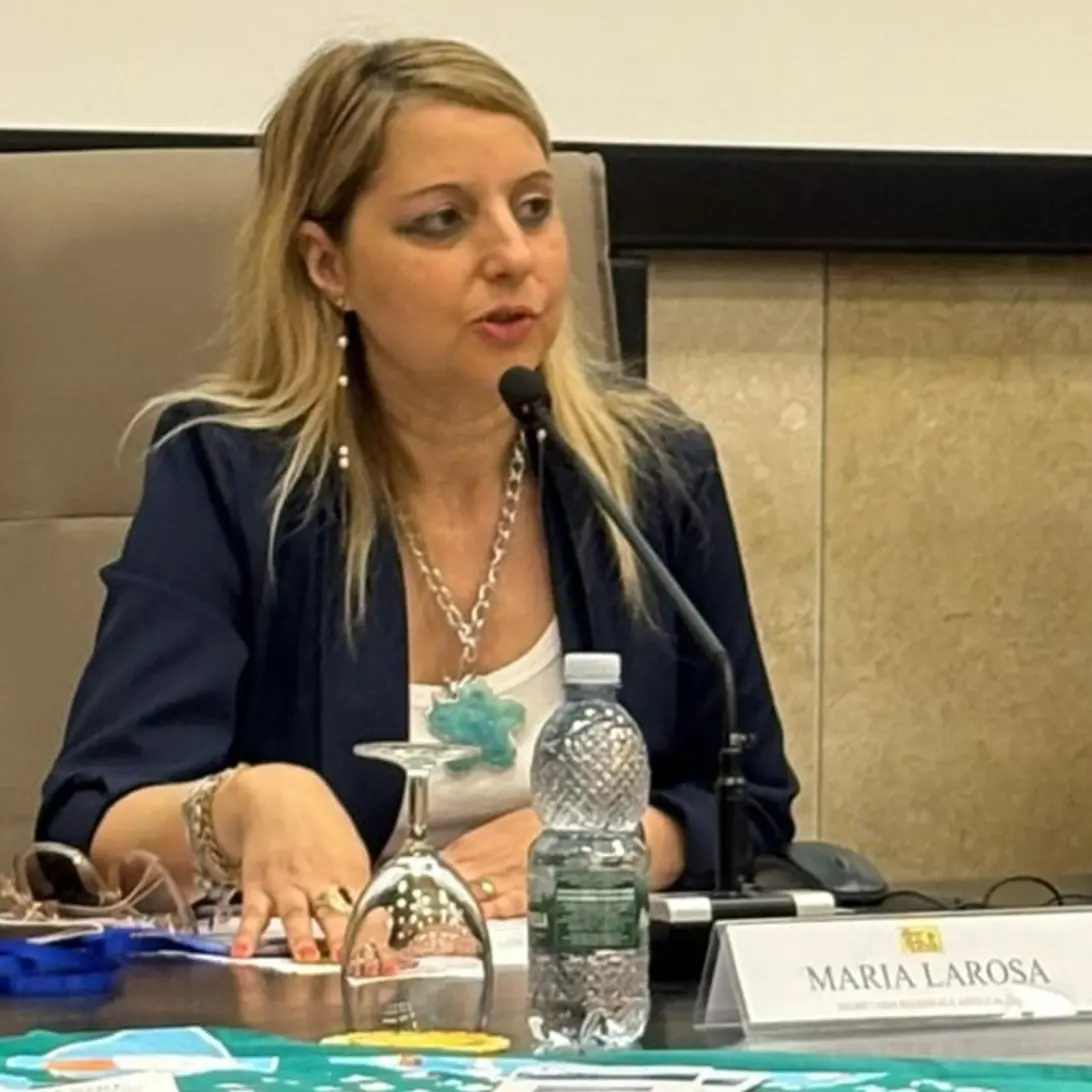 Gom Reggio, Larosa (Aned Calabria): «Nefrologia efficiente e 3 passi avanti con i trapianti»\n