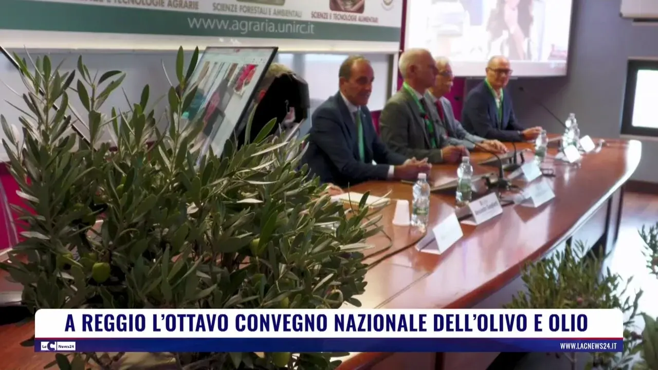 A Reggio l'ottavo convegno nazionale dell'olivo e dell'olio