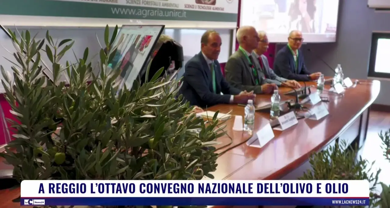 A Reggio l'ottavo convegno nazionale dell'olivo e dell'olio