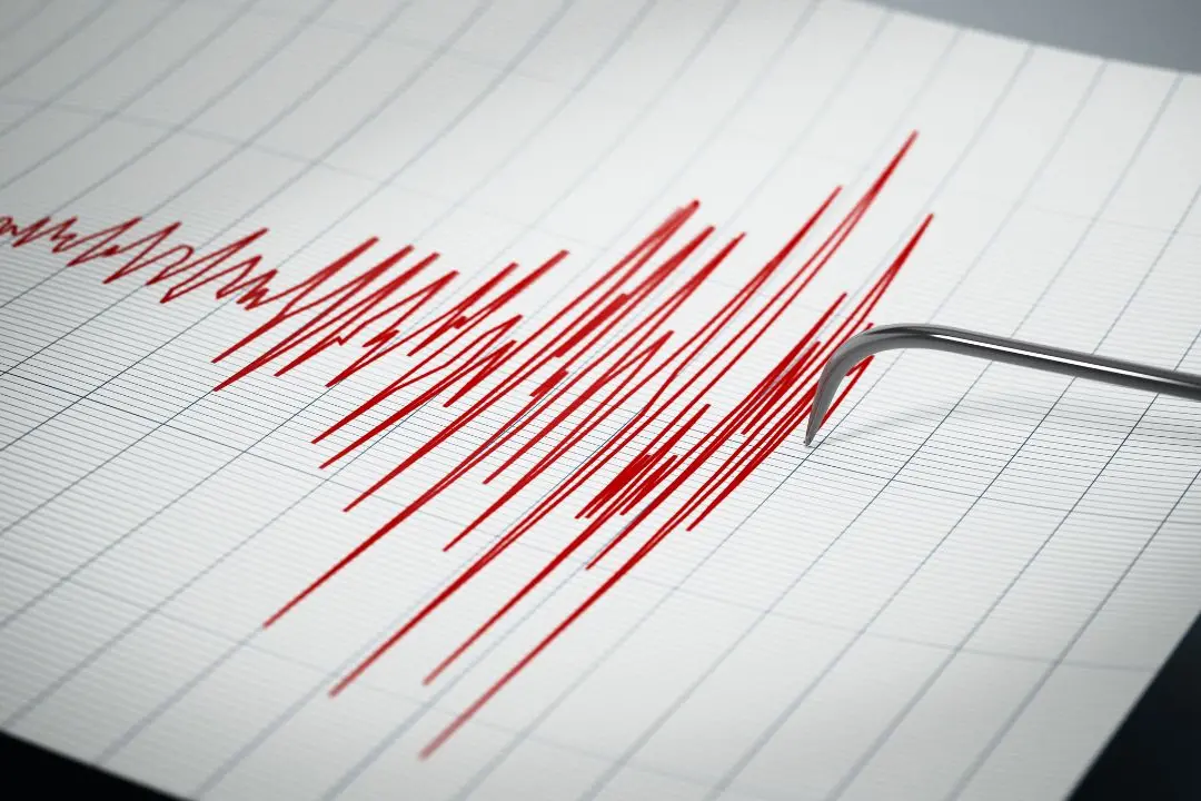 Terremoto in Calabria, revocata l’allerta tsunami diramata dalla Protezione civile a Reggio\n