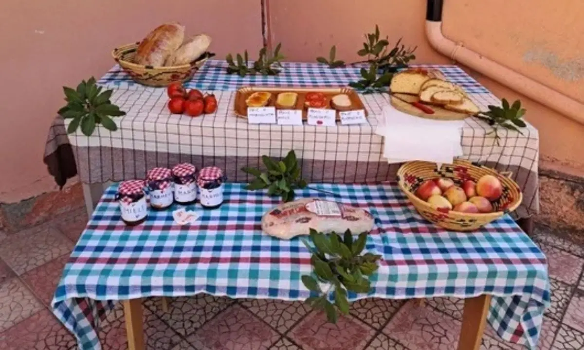 Mandatoriccio, i nonni tornano a scuola per raccontare infanzia e tradizioni\n