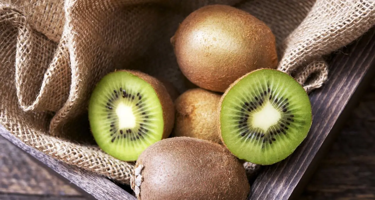 Tir, ripartono le consegne (anche)\u00A0in Calabria: kiwi, ortofrutta e forniture agli allevamenti tornano a circolare\n