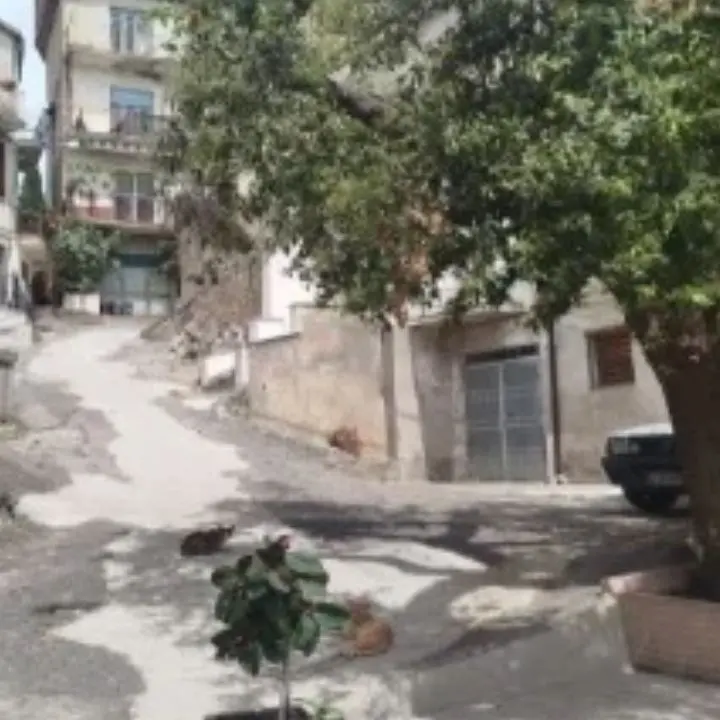 Saracena, via Casini cambia volto: pietra e nuove luci nel centro storico\n
