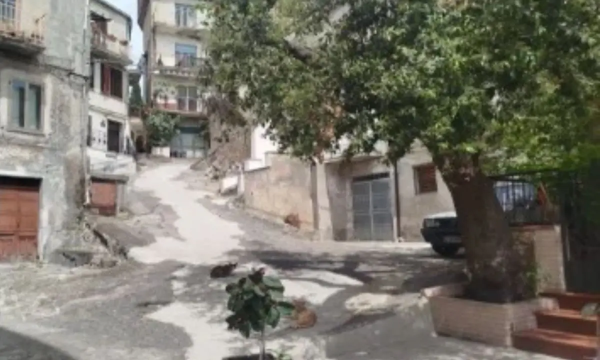 Saracena, via Casini cambia volto: pietra e nuove luci nel centro storico\n