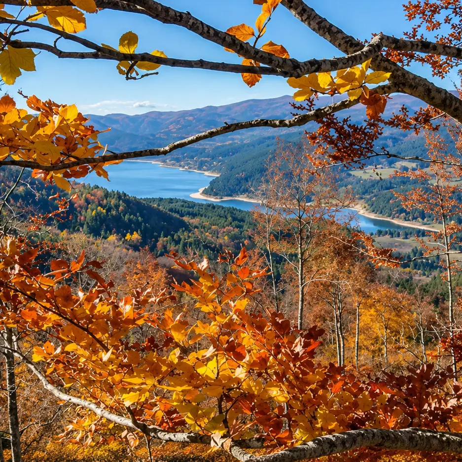 La Sila si veste d’autunno: è il tempo del foliage tra boschi accesi e paesaggi da cartolina\n