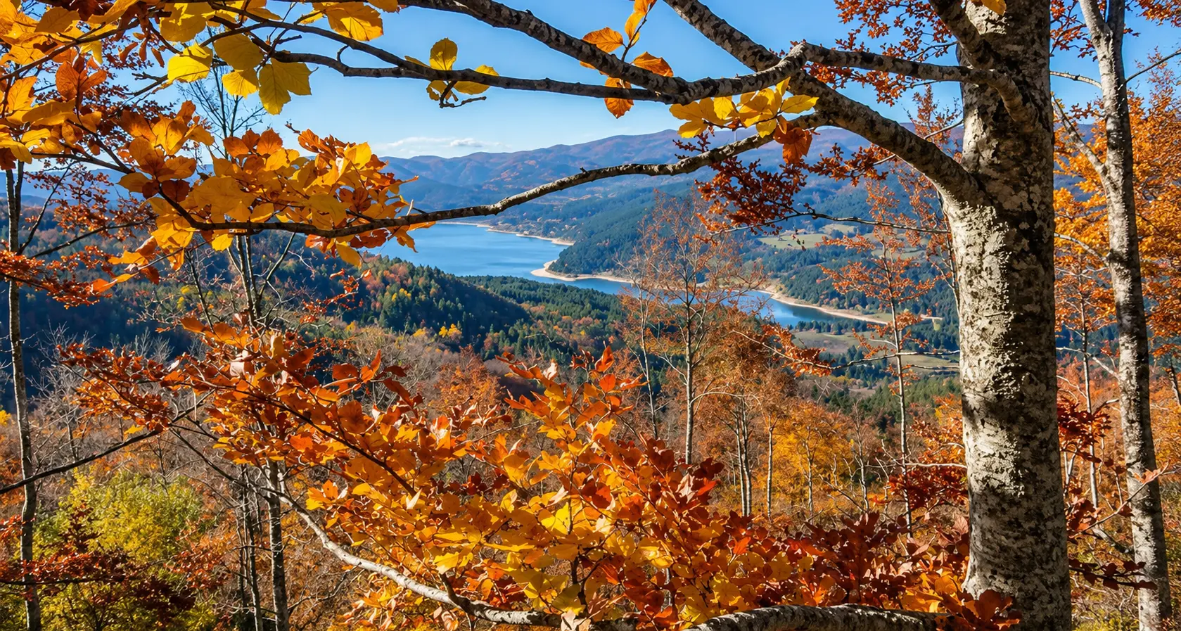 La Sila si veste d’autunno: è il tempo del foliage tra boschi accesi e paesaggi da cartolina\n