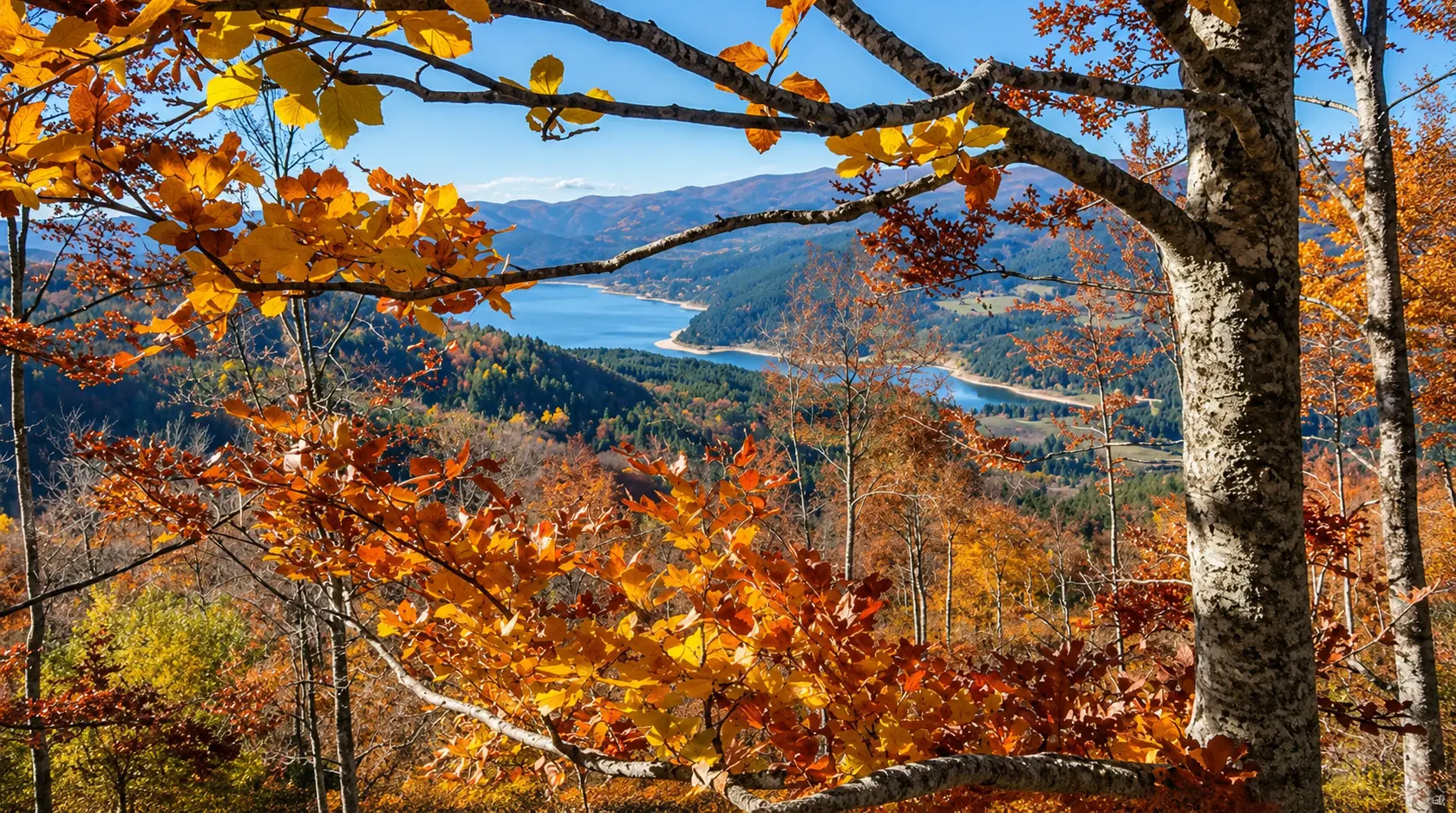 La Sila si veste d’autunno: è il tempo del foliage tra boschi accesi e paesaggi da cartolina\n