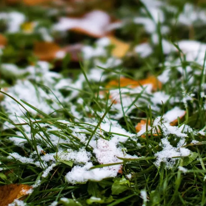 Arriva la pioggia nel weekend in Calabria: temperature in calo e primi fiocchi di neve in montagna\n