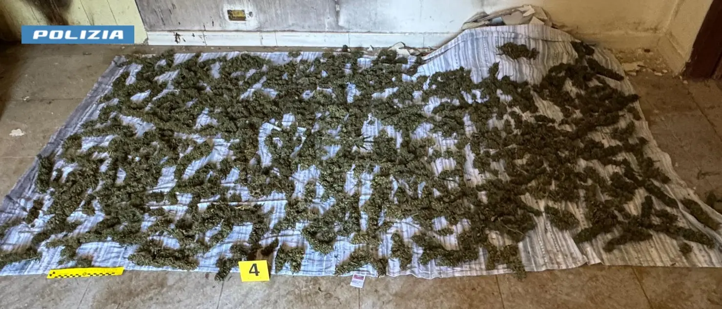 In casa con oltre otto chili di marijuana, arrestato un uomo a Sinopoli per spaccio di droga\n