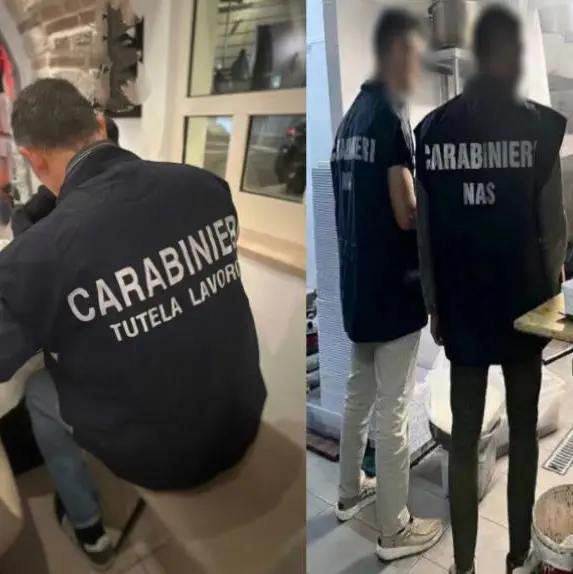 Manodopera fantasma e cibi senza tracciabilità: i Carabinieri chiudono un agriturismo di Cortale\n