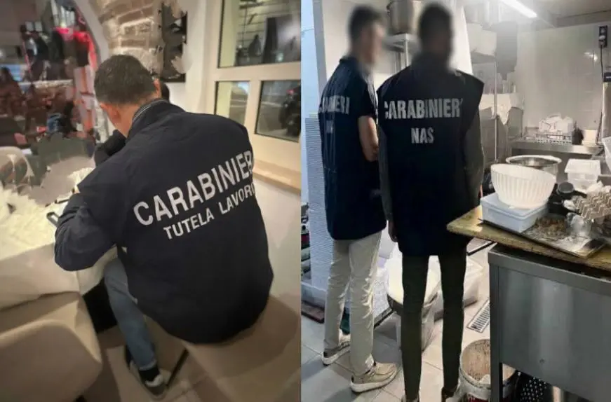 Manodopera fantasma e cibi senza tracciabilità: i Carabinieri chiudono un agriturismo di Cortale\n