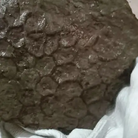 Longobucco, dal fondo dell’antico oceano riemerge il mistero del Paleodictyon\n