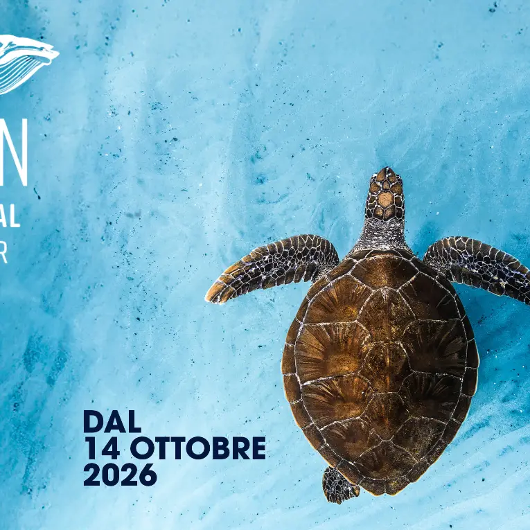 L’Ocean Film Festival World Tour arriva per la prima volta in Calabria: il mare protagonista al Teatro Comunale di Catanzaro\n