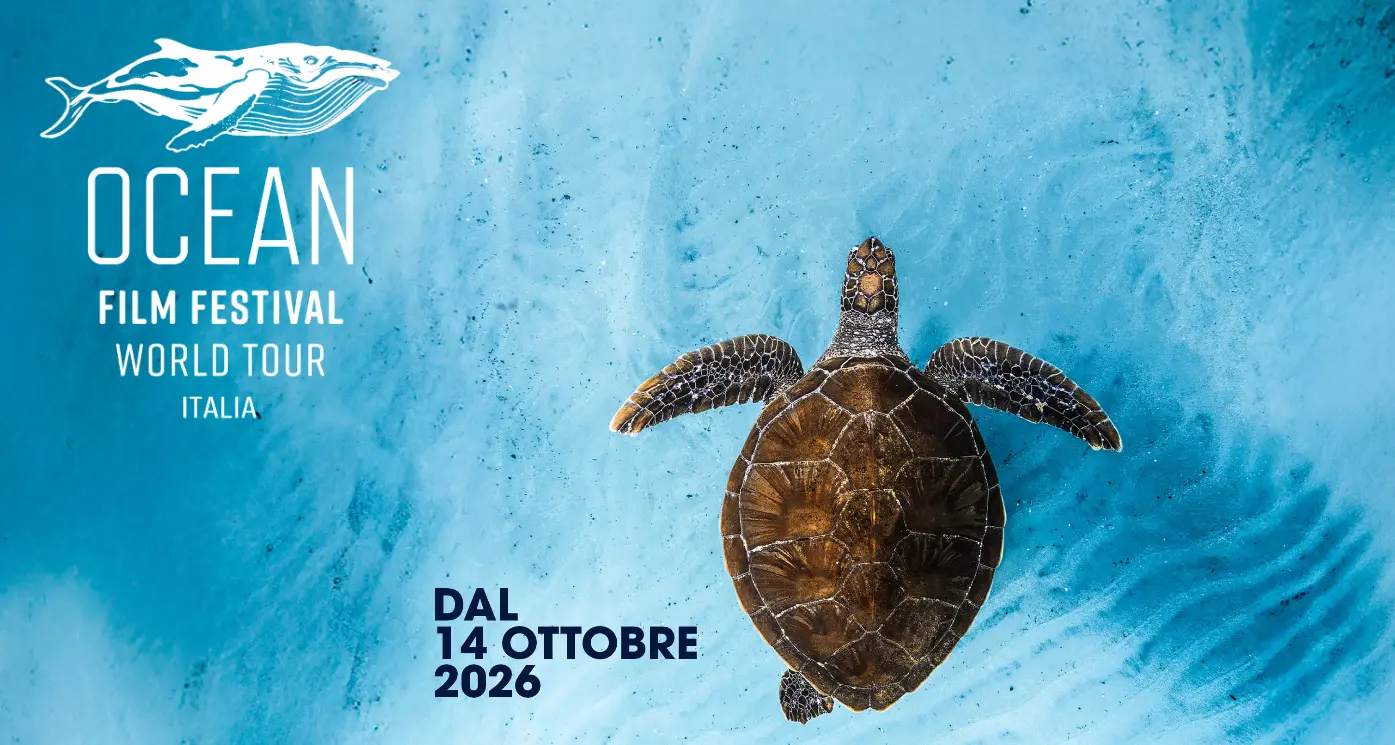 L’Ocean Film Festival World Tour arriva per la prima volta in Calabria: il mare protagonista al Teatro Comunale di Catanzaro\n