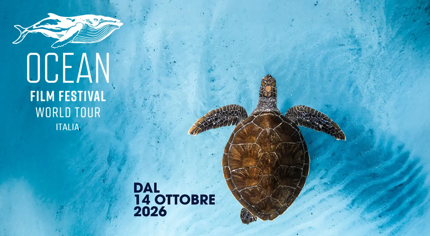 L’Ocean Film Festival World Tour arriva per la prima volta in Calabria: il mare protagonista al Teatro Comunale di Catanzaro\n