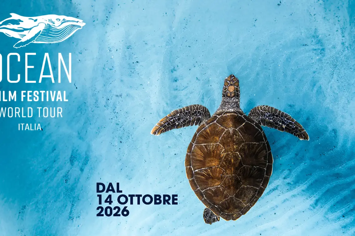 L’Ocean Film Festival World Tour arriva per la prima volta in Calabria: il mare protagonista al Teatro Comunale di Catanzaro\n