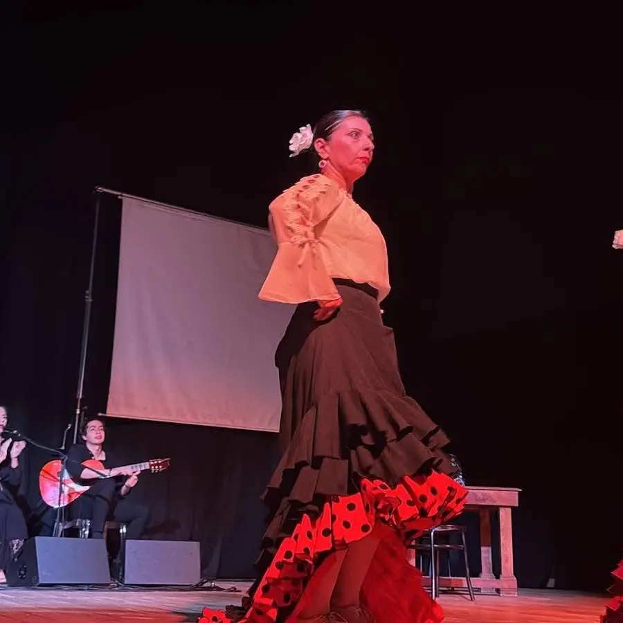 Oppido Mamertina, buona la prima di “Synergia 51”: il flamenco incanta il Cinema Teatro\n