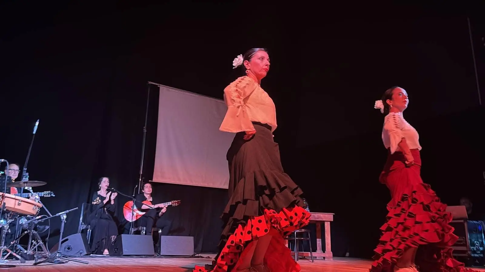 Oppido Mamertina, buona la prima di “Synergia 51”: il flamenco incanta il Cinema Teatro\n