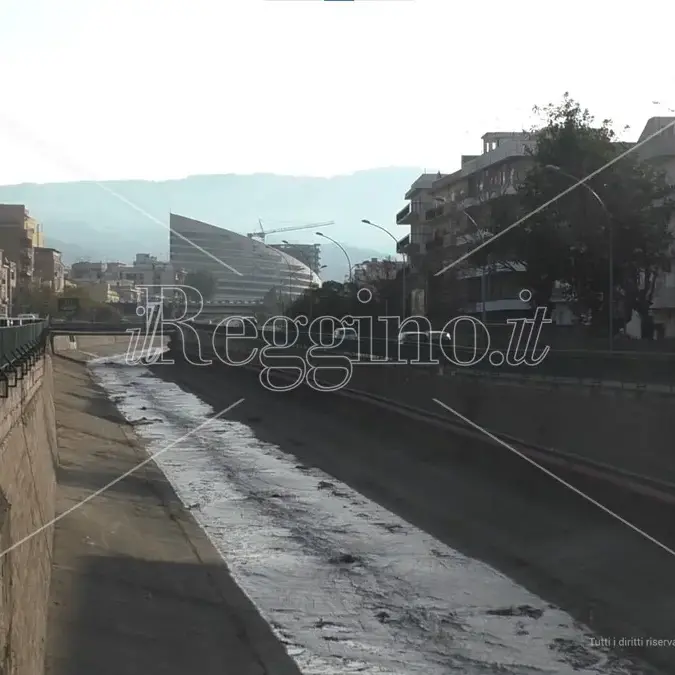Reggio, Cifi: «Cannizzaro cambia passo. Sul Calopinace una svolta storica»\n