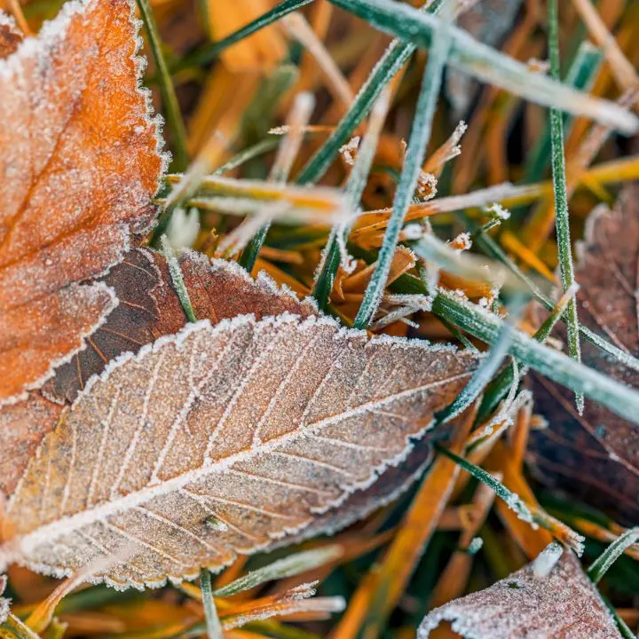 Freddo in Calabria\u00A0dopo l’ultima veloce ondata di maltempo: nella notte temperature sotto lo zero in Sila