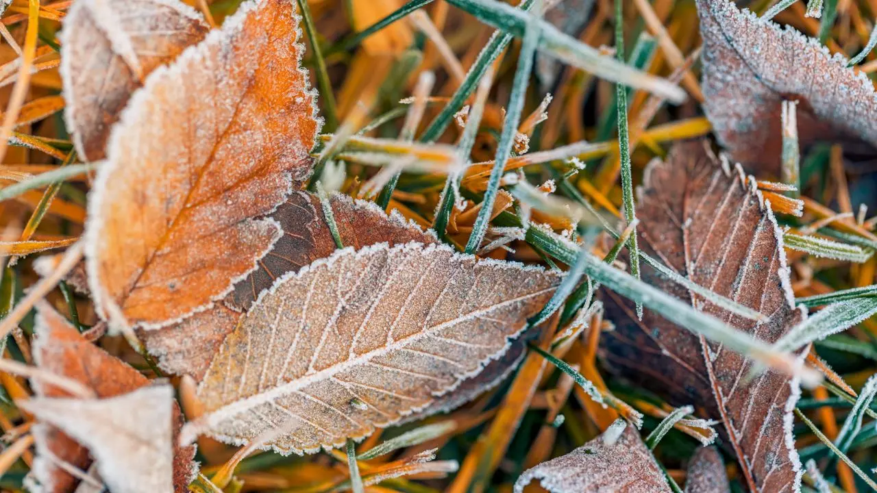 Freddo in Calabria\u00A0dopo l’ultima veloce ondata di maltempo: nella notte temperature sotto lo zero in Sila