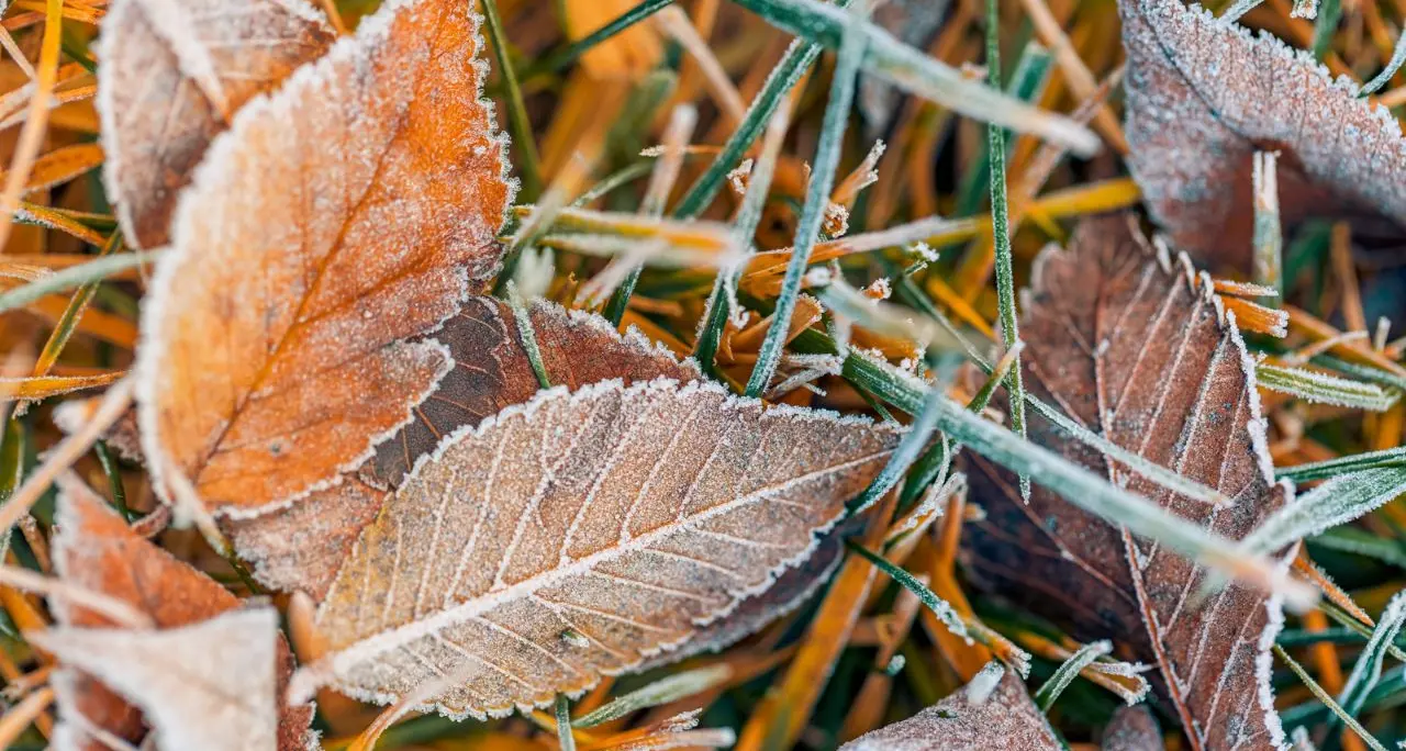 Meteo Cosenza,\u00A0stanotte temperature gelide\u00A0in Sila. A Lorica termometro sotto lo zero