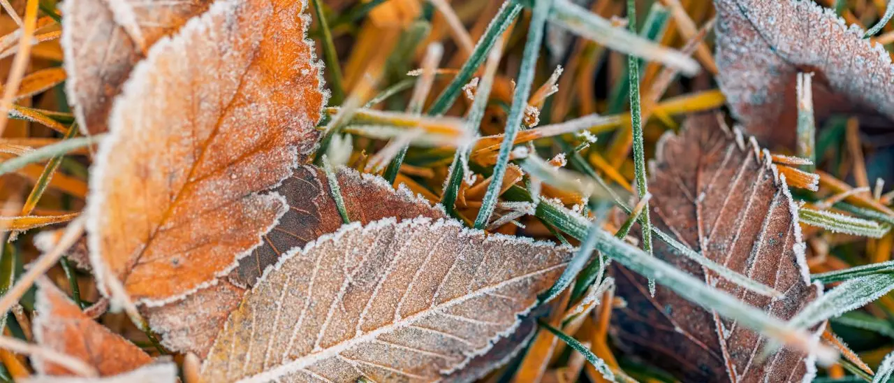 Meteo Cosenza,\u00A0stanotte temperature gelide\u00A0in Sila. A Lorica termometro sotto lo zero