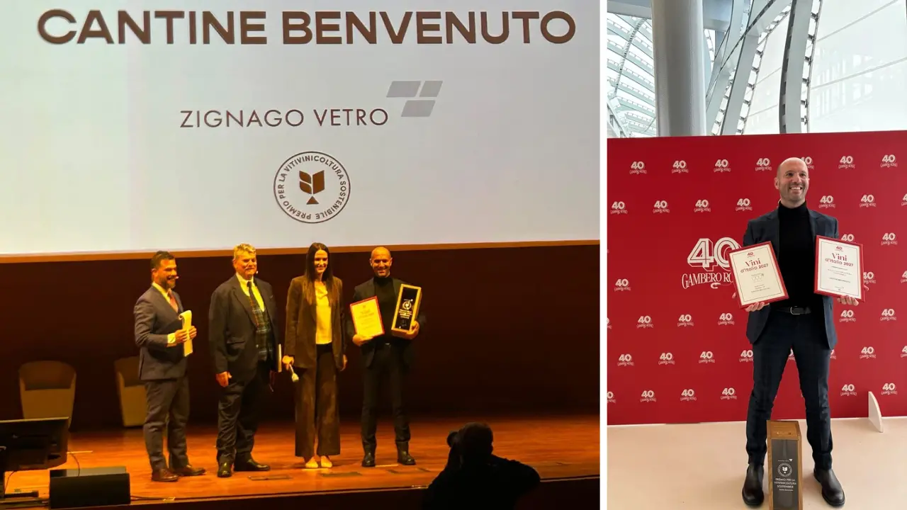 Non solo vino, Gambero Rosso premia il Vibonese: a Cantine Benvenuto di Filadefia il riconoscimento per la sostenibilità oltre ai Tre Bicchieri per lo Zibibbo\n