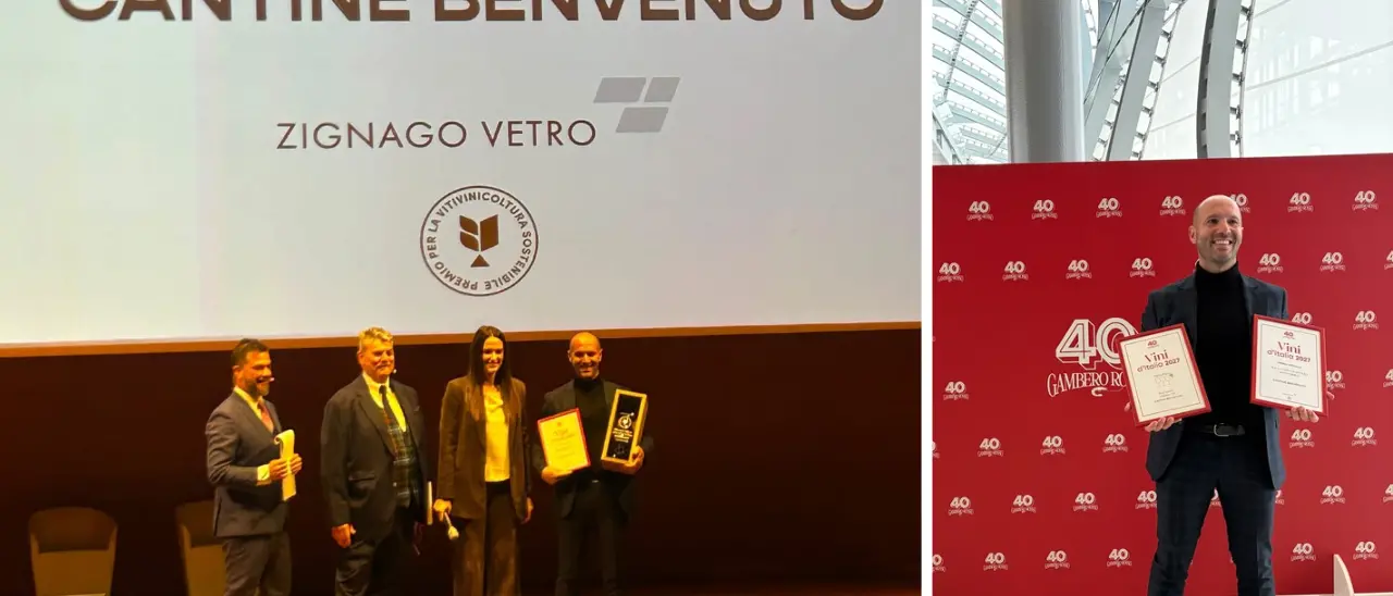 Non solo vino, Gambero Rosso premia il Vibonese: a Cantine Benvenuto di Francavilla il riconoscimento per la sostenibilità oltre ai Tre Bicchieri per lo Zibibbo\n