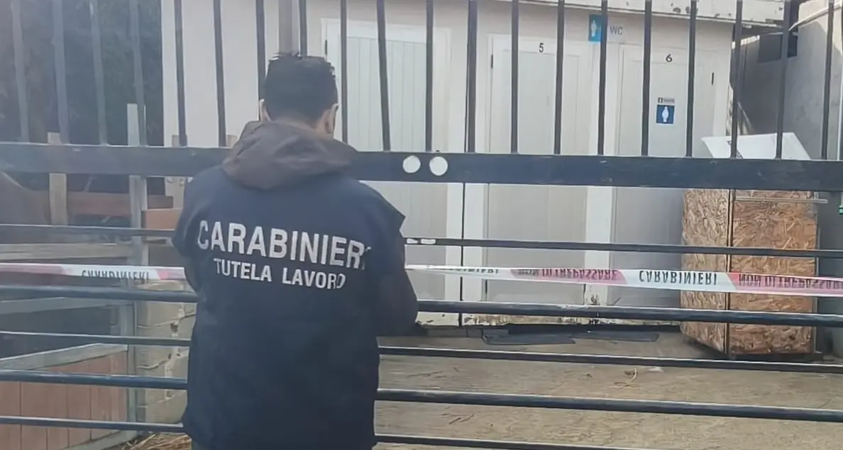 Costretto ad accudire 20 cavalli per 2,45 euro l’ora: arrestato titolare di un maneggio nel Crotonese\n