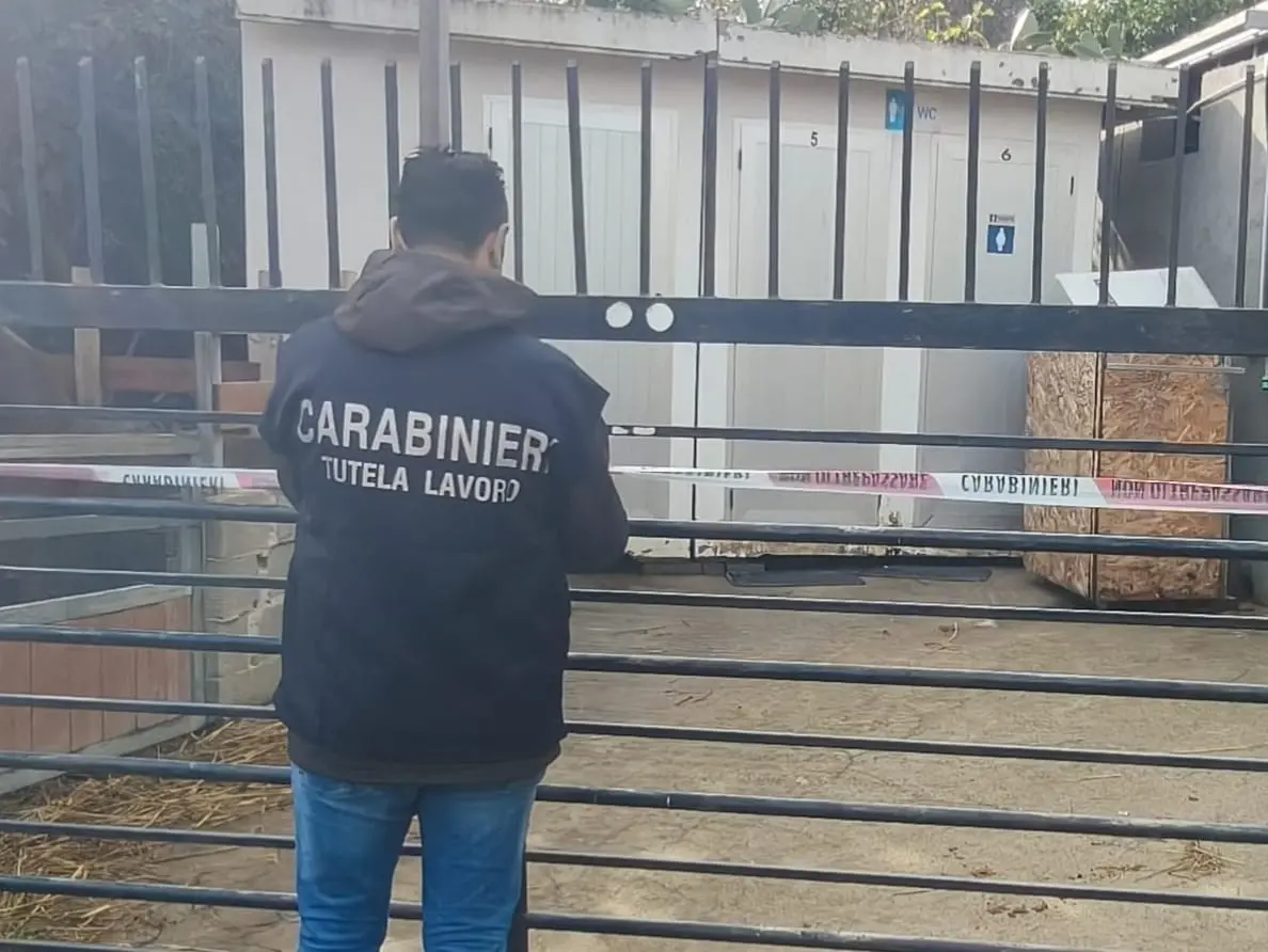 Costretto ad accudire 20 cavalli per 2,45 euro l’ora: arrestato titolare di un maneggio nel Crotonese\n