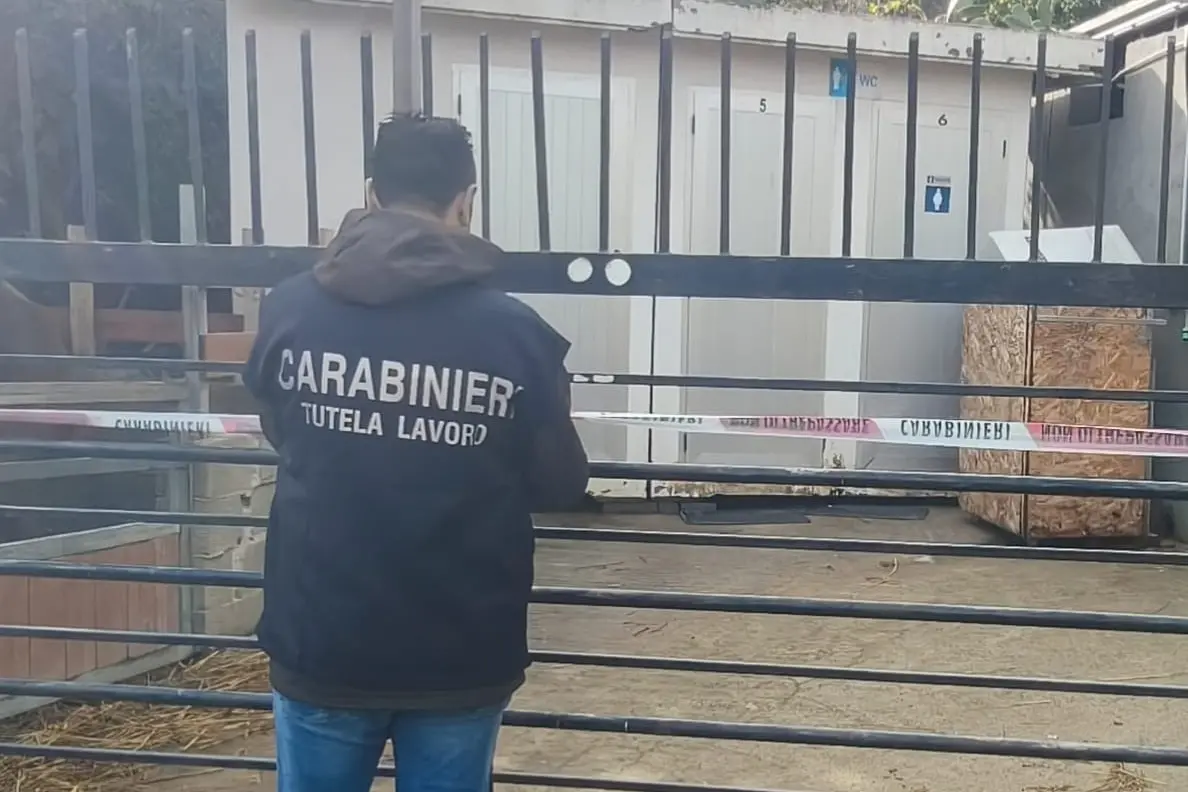 <p>Costretto ad accudire 20 cavalli per 2,45 euro l’ora: arrestato titolare di un maneggio nel Crotonese</p>