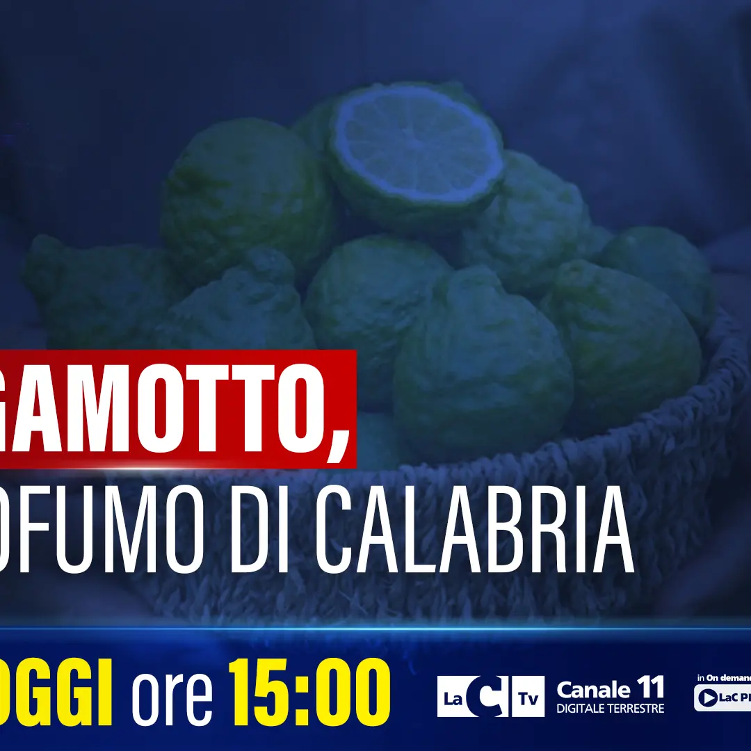 Dall’omicidio di Cassano allo Ionio al Bergarè 2026: a Dietro i fatti News cronaca, legalità e identità calabrese\n