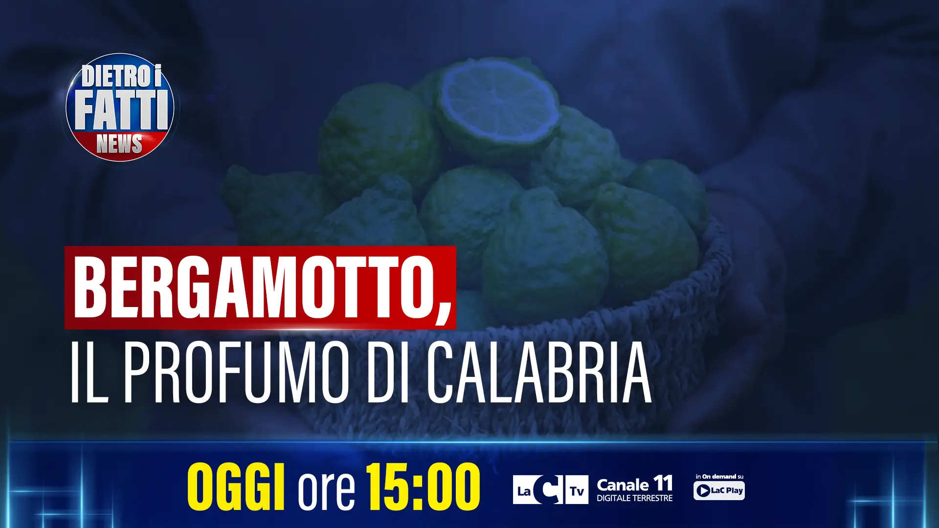 Dall’omicidio di Cassano allo Ionio al Bergarè 2026: a Dietro i fatti News cronaca, legalità e identità calabrese\n