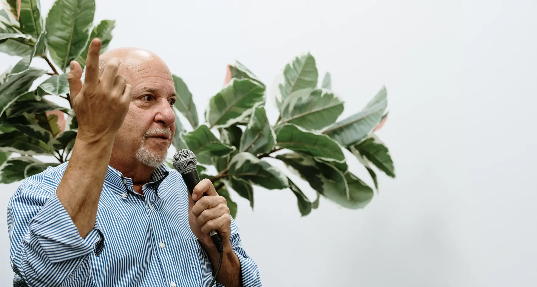 <p>La “Lezione americana” di Friedman a Vibo: «<span style=\"color:hsl(0, 75%, 60%);\">Trump? Un gangster</span>. Alle Midterm rischio brogli ma i dem potrebbero spuntarla»</p>