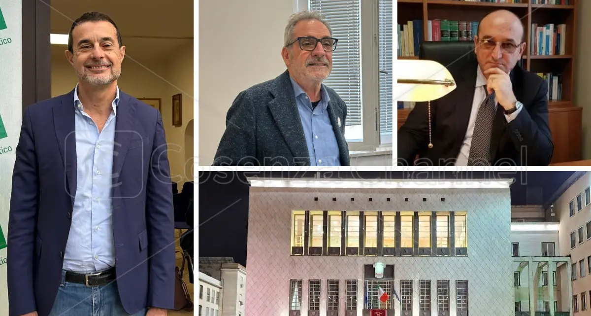 Polemica sulle parole di Stefanazzi. Pignataro e Molinari: «Il sindaco si sceglie a Cosenza, non a Roma»\n