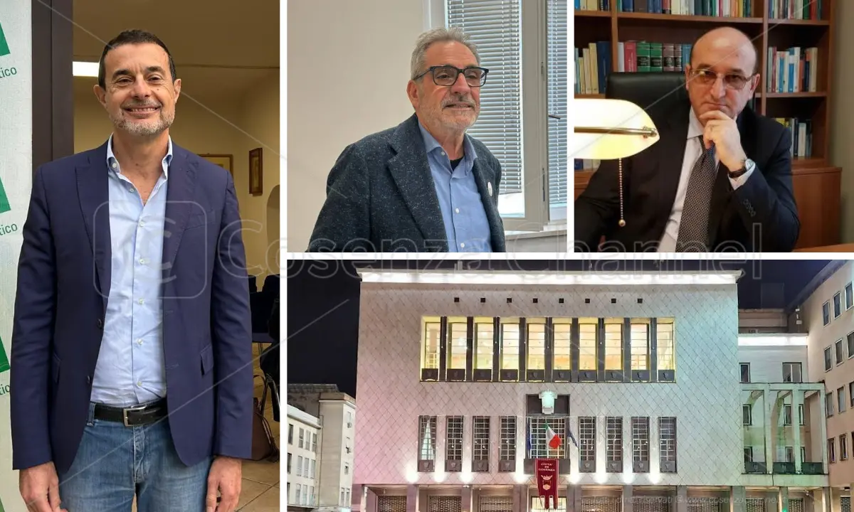 Polemica sulle parole di Stefanazzi. Pignataro e Molinari: «Il sindaco si sceglie a Cosenza, non a Roma»\n