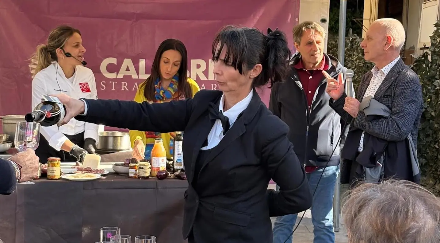Bivongi, conclusa la festa del vino:\u00A0la Locride punta su enogastronomia e turismo esperienziale\n