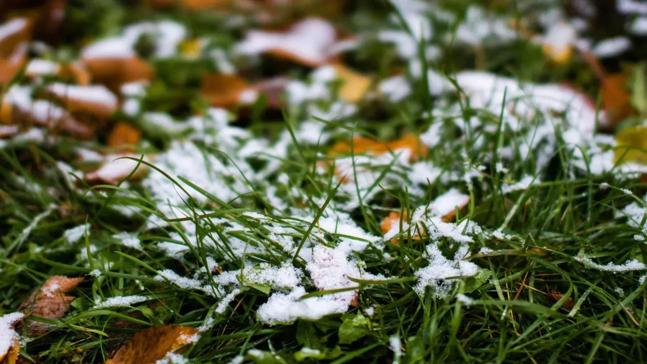 Arriva la prima neve\u00A0ma l’inverno rischia di deludere tra\u00A0temperature sopra la media e l'incognita\u00A0El Niño\n