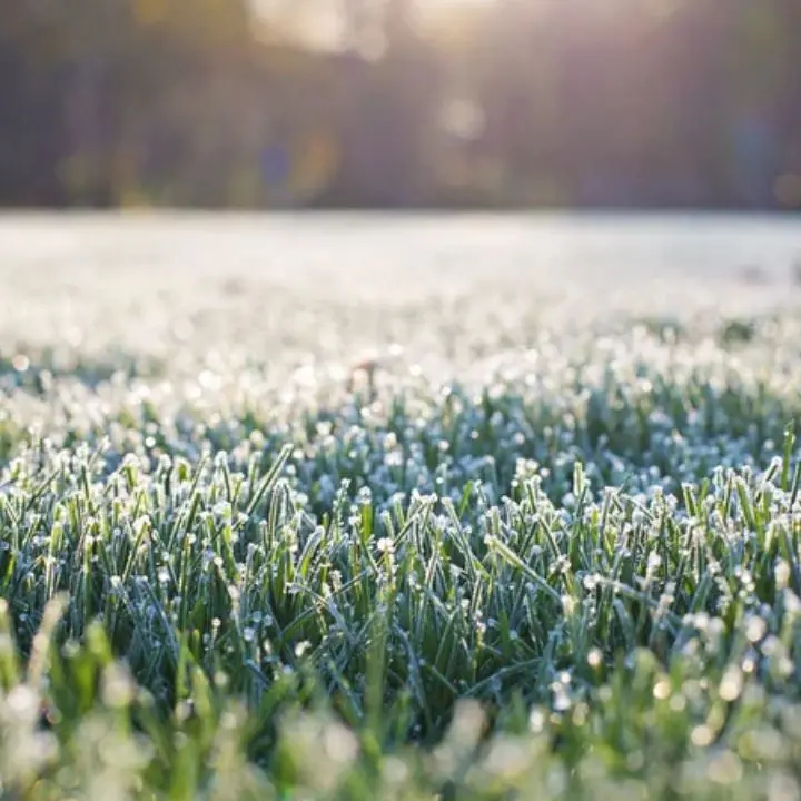 Meteo Cosenza, nel weekend crollano le temperature e arriva la pioggia\n