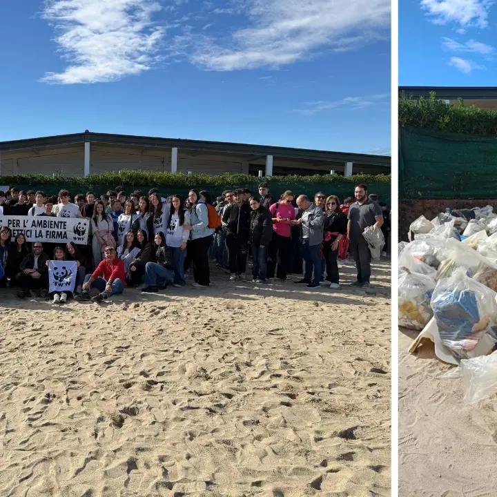 Studenti di Filadelfia in azione insieme al\u00A0Wwf sulla spiaggia\u00A0Colamaio di Pizzo: raccolti trenta sacchi di rifiuti\n