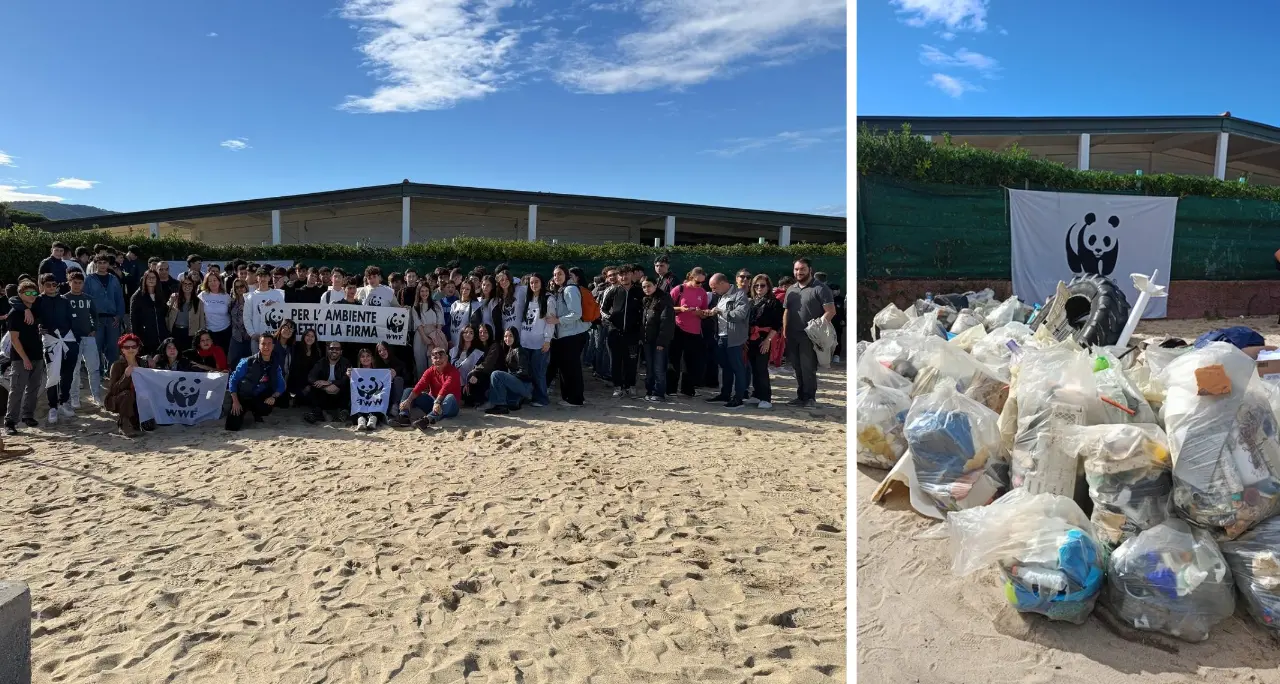 Studenti di Filadelfia in azione insieme al\u00A0Wwf sulla spiaggia\u00A0Colamaio di Pizzo: raccolti trenta sacchi di rifiuti\n