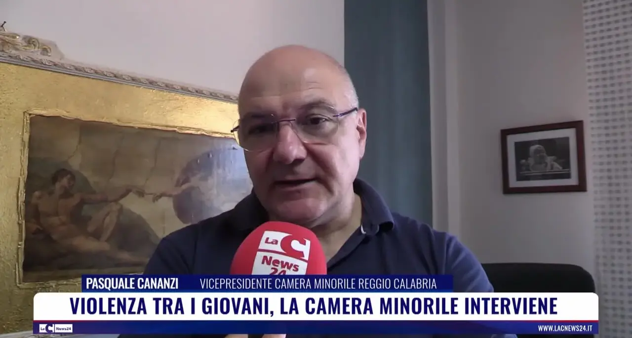 <p>Violenza tra i giovani, la camera minorile interviene</p>
